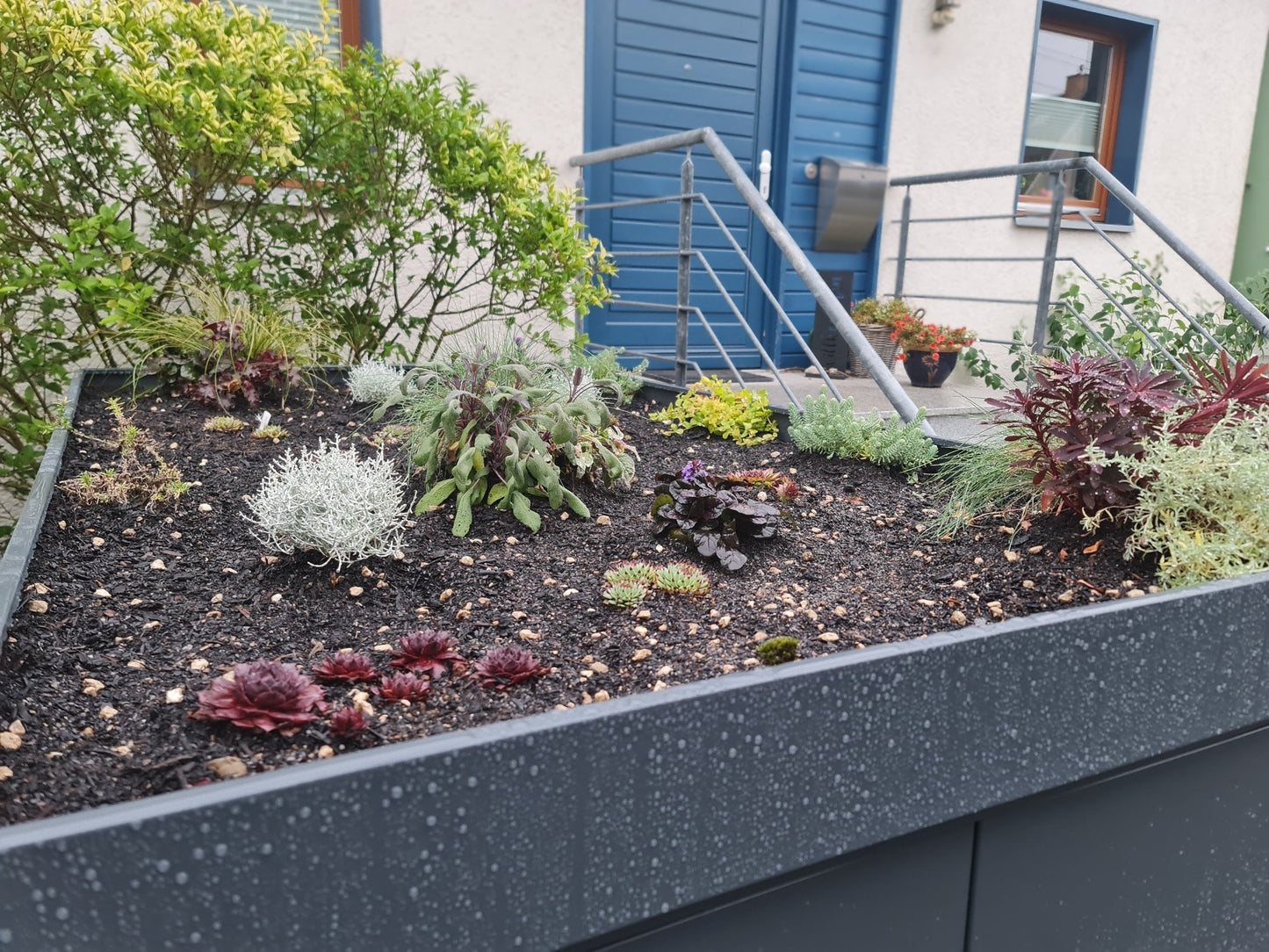 Begruente Pflanzwanne Metall für Fahrradgarage Statement