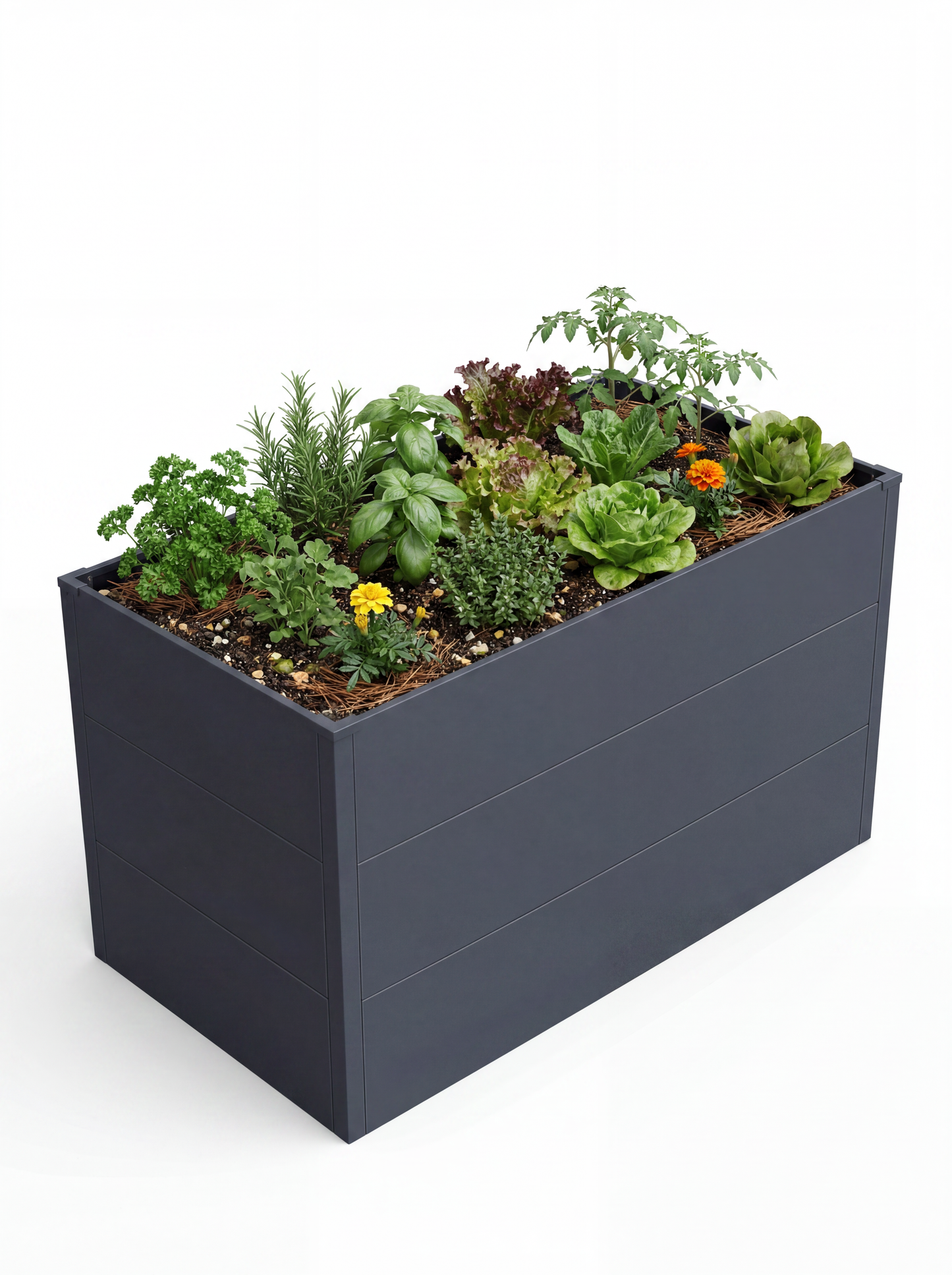Metallverkleidung für Garten in Anthrazit mit integrierter Pflanzwanne mit Kräutern, Salat und Zierpflanzen auf weißem Hintergrund.